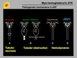 slide-4.1.4-0005.jpg