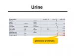 img-bevacizumab-0006.jpg