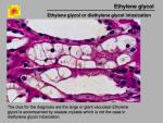 img-Ethylene glycol-0004.jpg