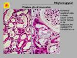 img-Ethylene glycol-0006.jpg
