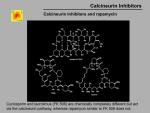 img-Calcineurin inhibitors-0003.jpg